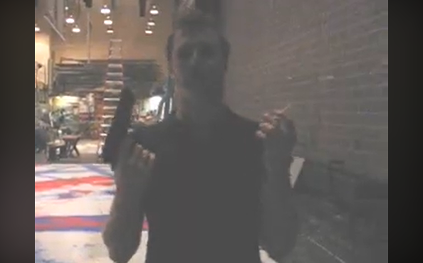 Bobrauschenbergamerica: The Other Video