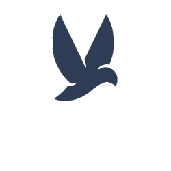 Silhouette of a white bird over the letters JAEIR.