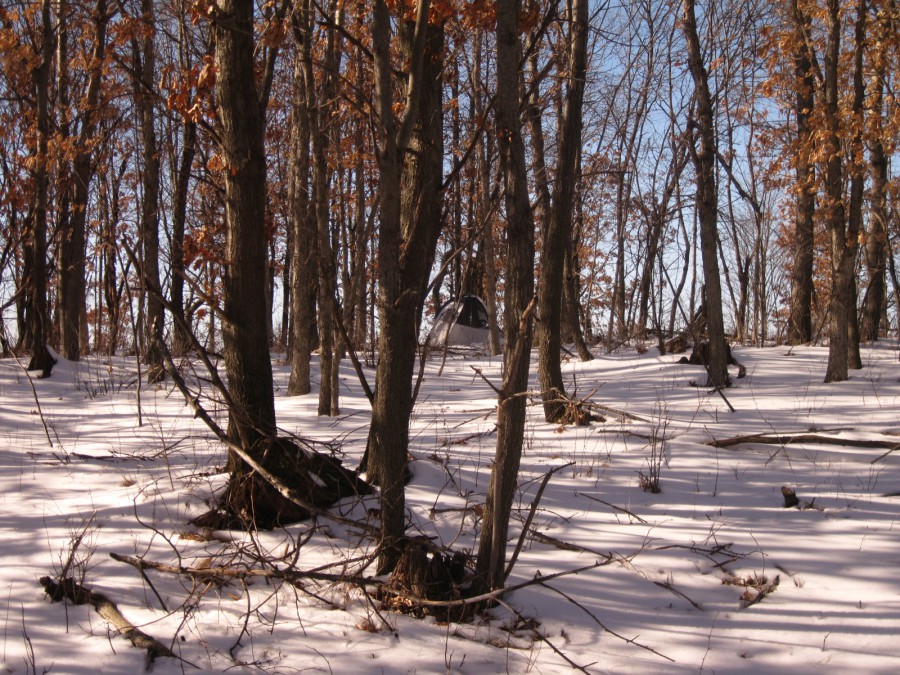 A daytime photograph of a snow-covered forest, with tall trees stripped of their leaves. Sunlight filters through the bare branches, casting long shadows across the undisturbed snow. In the distance, almost lost and hidden in the visual noise, is a white and brown tent, perfectly camouflaged in the dead center of the photo, nearly completely unseen. Digital photograph taken on a Canon PowerShot A1000 IS in northeast Eau Claire, WI, in the Spring of 2011.