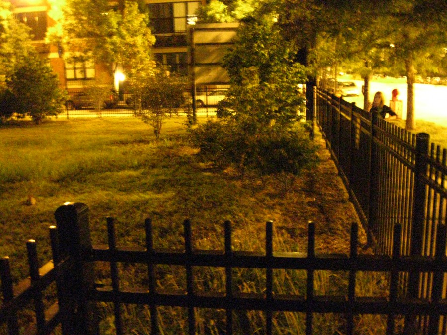 A fenced-off grassy area, dimly illuminated by streetlights, with scattered trees and small bushes. To the right, a woman, Chelsea, stands on the sidewalk, partially visible and seemingly looking toward the area. In the background, brick buildings and cars line the street, with a slightly eerie ambiance due to the nighttime lighting and shadows.