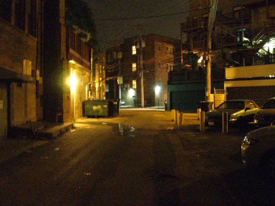 A photograph of a dimly lit back alley in the Lincoln Park neighborhood, surrounded by residential buildings. Yellow-tinted streetlights illuminate parts of the scene, including a green dumpster and wet patches on the pavement. Shadows and deep brick textures on the buildings on either side give the image a sense of quiet foreboding.