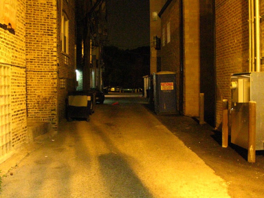 The opposite end of the alley, showing more brick walls, a portable toilet port-o-potty labeled “National,” and scattered barricades. The alley stretches into the distance with soft lighting from residential buildings beyond. The stark lines of the buildings and muted yellow light enhance the sense of isolation.