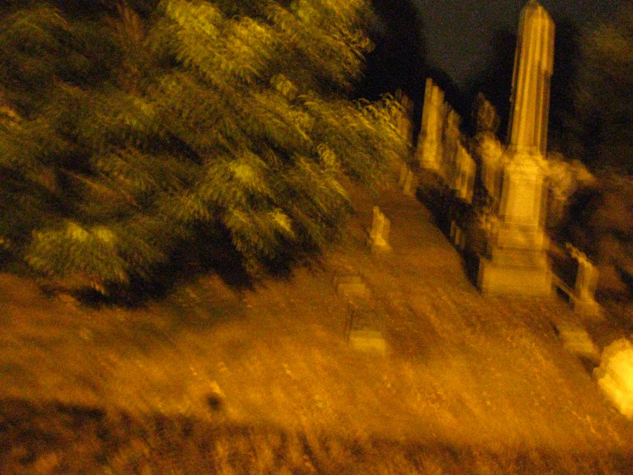 A blurry photograph of a cemetery with a prominent large tree and a pointed obelisk-style tombstone in the background. The grass appears uneven, and the image is poorly exposed in some areas, adding to the disorienting and unsettling effect.