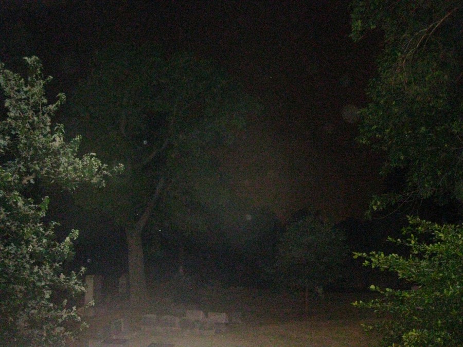 A dark nighttime photograph taken in a cemetery, featuring a black sky partially obscured by tall, shadowy trees on either side. In the foreground, faint tombstones are scattered on the ground, illuminated slightly by the camera's flash. Suspended in the air are several white orbs, adding an eerie and mysterious atmosphere to the image. The photo captures a creepy, uneasy, ghoulish vibe.