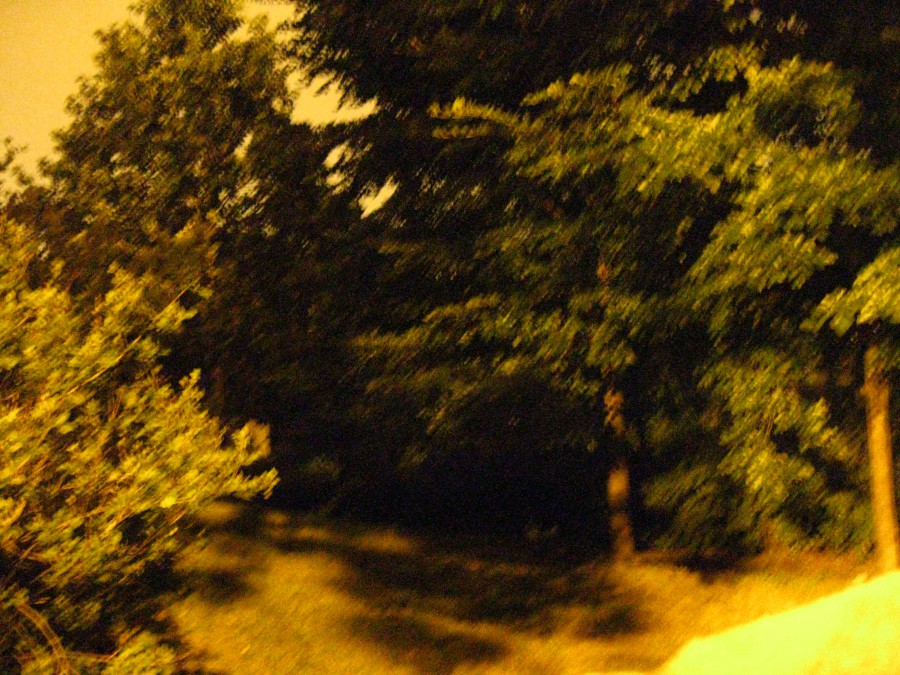 A dark and shaky image of the graveyard grounds surrounded by dense trees. Faint, eerie light filters through the trees, casting uneven shadows on the ground. The overall scene is dimly lit and grainy with this haunting setting.