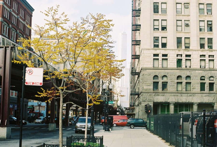 A wide-angle cityscape shot looking north on Wabash Avenue in Chicago, framed by elevated train tracks of the Loop. Two CTA trains are visible, one heading each direction, moving along the elevated tracks. The iconic stone building of Roosevelt University rises on the right, while the busy street below features parked cars and light traffic. A line of trees with sparse yellow leaves stands along the sidewalk, hinting at late spring. The image has a slightly vintage look, with the natural light casting soft shadows and giving the buildings a slightly washed-out appearance. The mix of architectural styles and the moving trains give a sense of the city’s energy and rhythm.