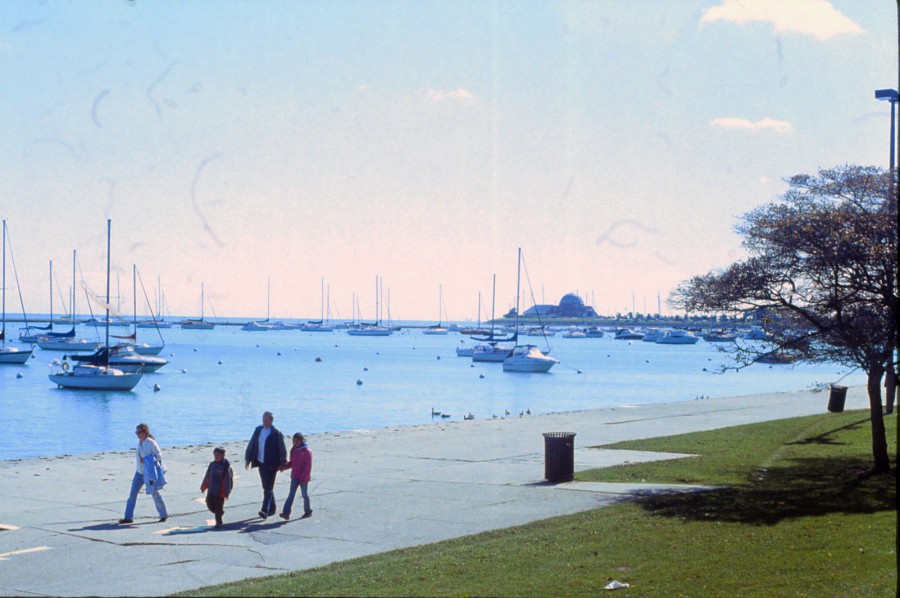 A wide view of Lake Michigan reveals sailboats floating gently on the shimmering water, with the Adler Planetarium's dome visible in the distance on the horizon. In the foreground, a family of four walks along a paved path next to a grassy area with a solitary trash can. A tree with sparse branches leans into the frame from the right, adding depth to the image. The crisp, sunny atmosphere is enhanced by the distinct colors of the slide film.