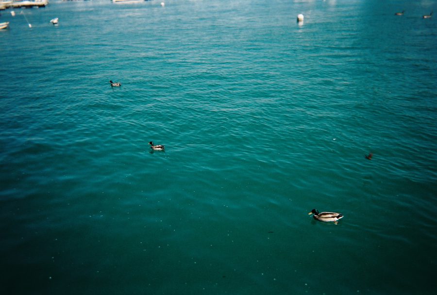 16 Lomo007402-R1-022-9A