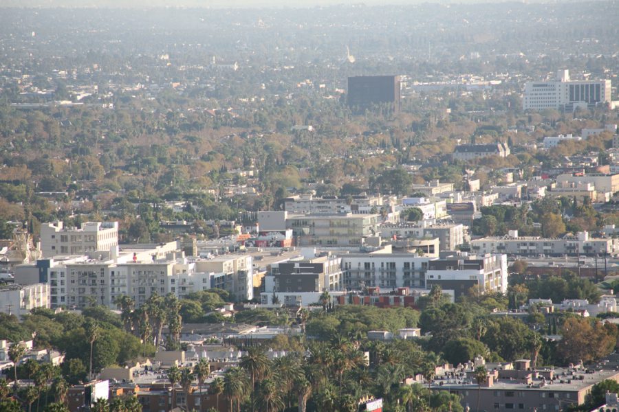 A wide shot from Runyon Canyon looking out over the vast expanse of Los Angeles. The middle ground reveals densely packed neighborhoods and tree-lined streets, with a mix of white apartment buildings and smaller houses. The background stretches endlessly, showing layers of development fading into the hazy horizon, creating a sense of depth and the enormity of the Los Angeles metropolitan area.