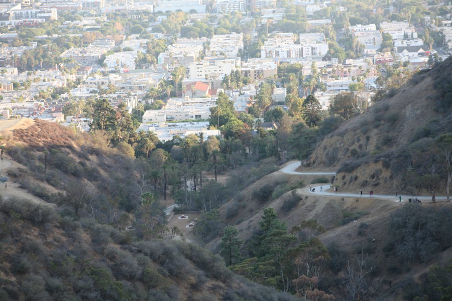 A downward-looking shot from Runyon Canyon that contrasts the dry canyon trail and vegetation with the sprawling city below. The valley showcases tightly packed neighborhoods, including white apartment buildings, small houses, and tree-lined streets. The winding trail cuts through the hillside, with scattered walkers visible along its path. Palm trees and other greenery stand out against the muted urban backdrop.