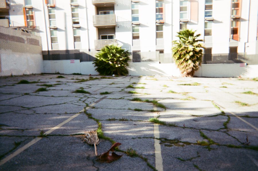 An abandoned parking lot in West Hollywood, its cracked asphalt overgrown with patches of grass. In the center, a broken palm frond and discarded shoe add an air of desolation, while a row of modern apartment buildings stands in the background.