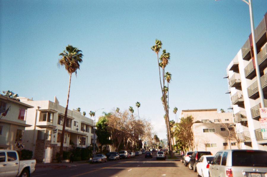 Another lively West Hollywood street scene, framed by tall, swaying palm trees and mid-century apartment buildings. Cars line both sides of the road as the bright California sun casts long shadows on the pavement.