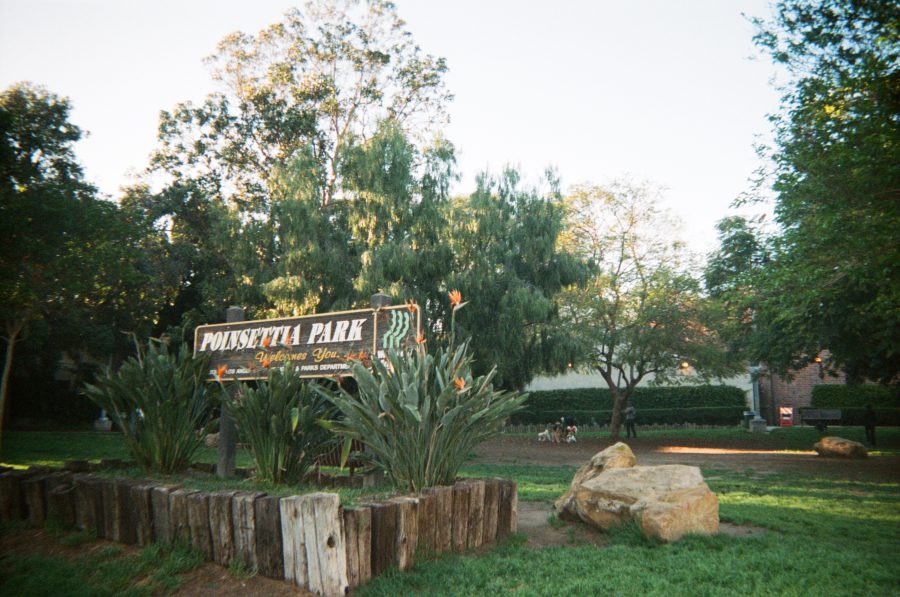 A park sign reads "Poinsettia Park Welcomes You," surrounded by tall bird-of-paradise plants and wooden logs. Trees and open green spaces fill the background, giving a welcoming and natural ambiance. There are also a couple big rocks.