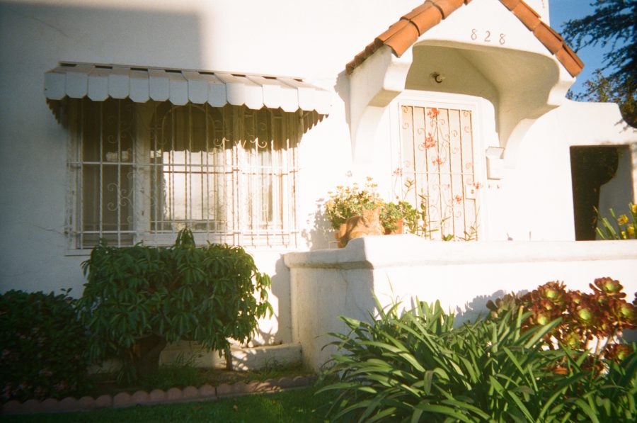 A charming white stucco house with a tiled awning and an ornate metal gate. On the railing of the front porch, a bright orange cat rests, surrounded by potted plants and trimmed bushes in a tidy front yard.