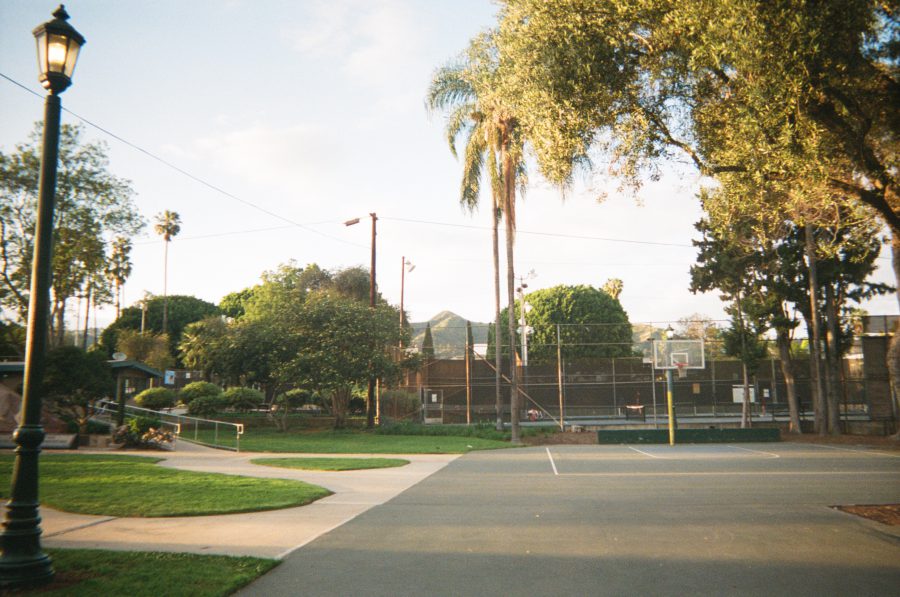 A park scene features a basketball court with surrounding trees and a well-maintained lawn. Tall palms and lush greenery frame the background, creating an open and inviting recreational space.