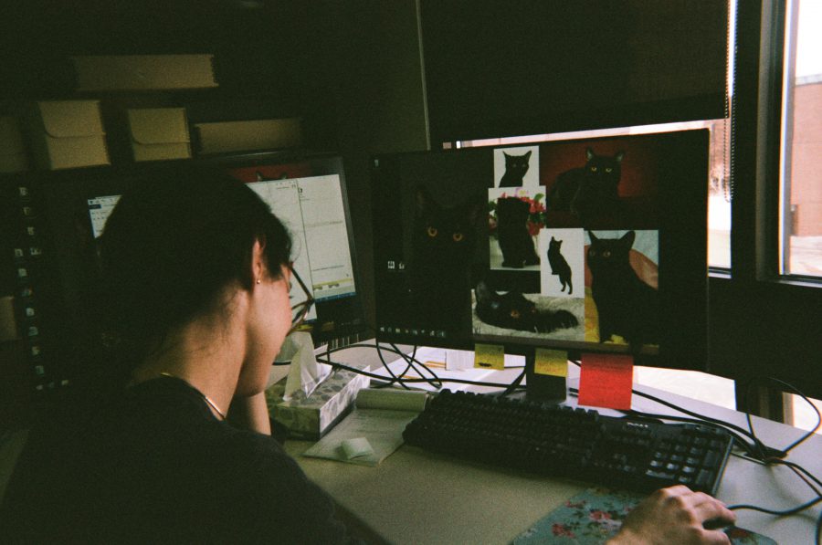 A close-up of Lauren at her desk captures the elegant curve of her back as she leans slightly toward her computer monitors. Her dark hair is pulled back neatly, exposing the soft lines of her neck. On her dual monitors, a collection of cat photos adds a playful contrast to her serious workspace. Her delicate shoulders and refined features are accentuated by the warm light coming through the window, adding to the intimate charm of the moment. The cat photos of her own black cat Callie, short for Calliope.