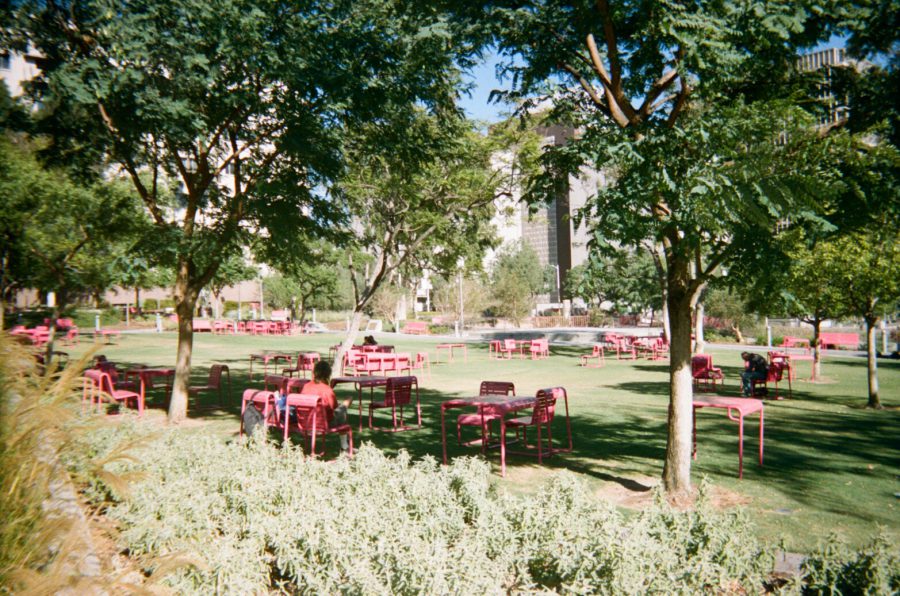 Grand Park in downtown Los Angeles, with vibrant green lawns and numerous bright pink chairs and tables scattered under shady trees. Groups of people sit and relax in the park, with modern office buildings rising in the background.