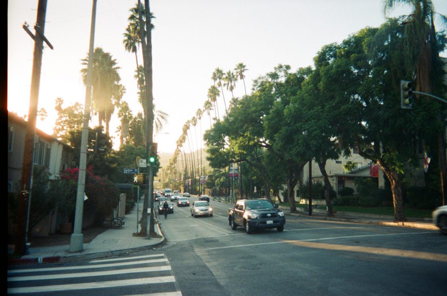The intersection of Gardner Street and a busy WeHo thoroughfare during golden hour. Tall palm trees line the street, their silhouettes stretched dramatically by the setting sun. Cars fill the road, and on the left, vines climb up a residential building.