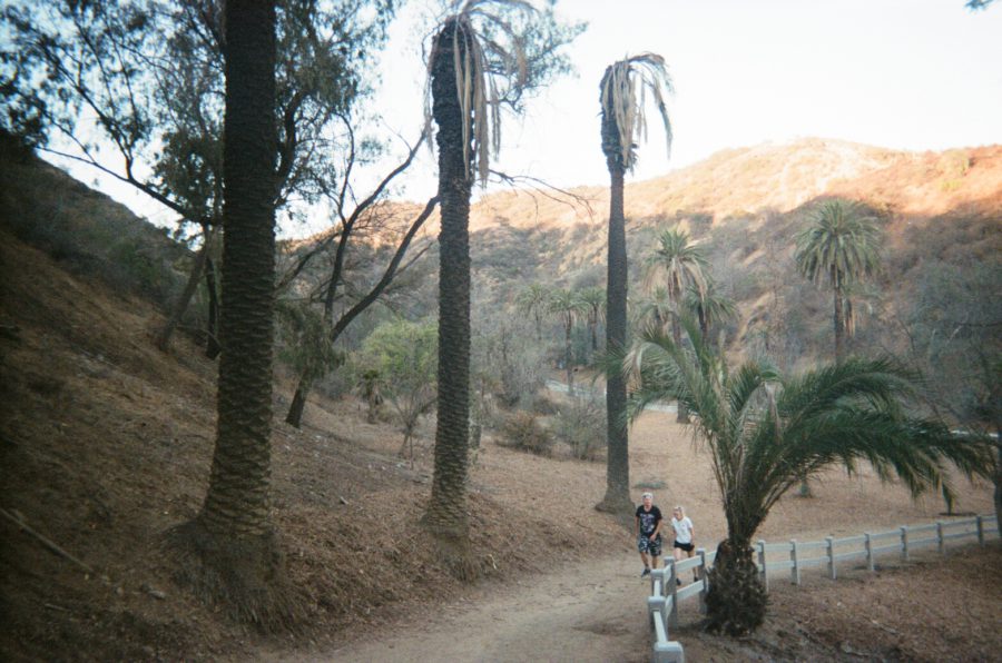 A wide view of Runyon Canyon, capturing a dusty valley surrounded by towering palm trees. The winding dirt trail in the foreground is bordered by a wooden railing. Two hikers walk up the incline—one in a dark t-shirt with shorts and the other in light athletic wear. The backdrop reveals rolling hills in warm, golden tones as the late afternoon sun highlights the dry Los Angeles terrain.