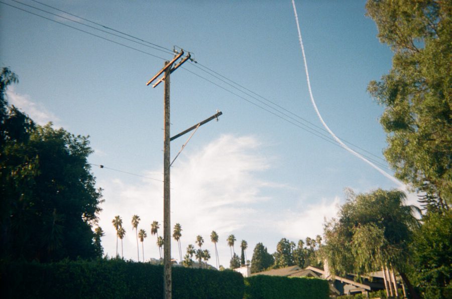 A clear blue sky over Los Angeles with a thin white airplane contrail slicing diagonally through the frame. The skyline is bordered by tall, thin palm trees in the distance, interspersed with the lush greenery of suburban yards. A weathered utility pole with visible wiring adds an urban element to this serene snapshot.
