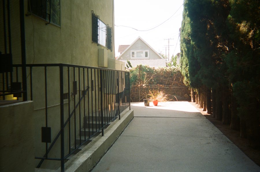 Paved back walkway behind our apartment in West Hollywood, lined with tall, dense cypress trees on one side and the offwhite stucco of the building on the other. A single red potted plant sits in the sunlight at the end of the path, along with a black empty pot next to it, with the peak of a neighboring house visible over the fence.