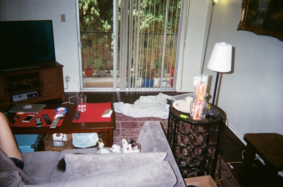 A view of Katie and Sophia from behind as they sit on the couch. The living room features a television on a wooden stand, a stereo system, and the black wine rack end table topped with a decorative incense vase. Beyond the sliding glass door, the patio includes lush potted plants and views of surrounding trees, creating a mix of indoor and outdoor comfort.