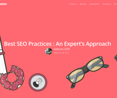 Best SEO Practices: An Expert’s Approach – ReportGarden Interview