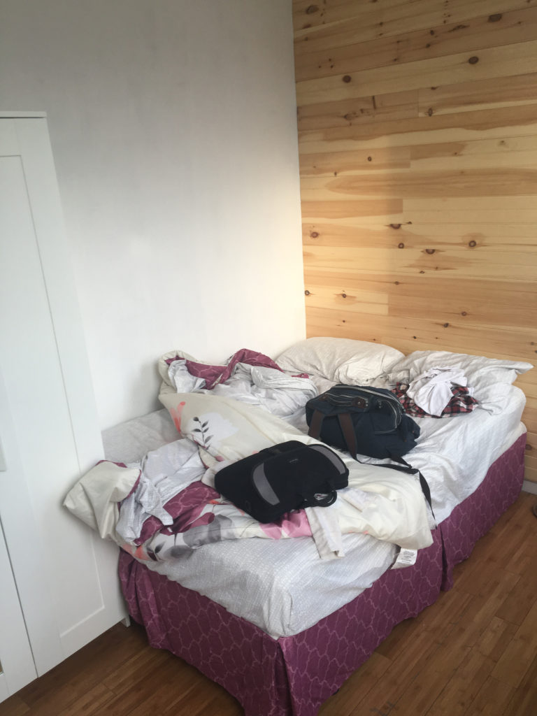bed stuy airbnb bed