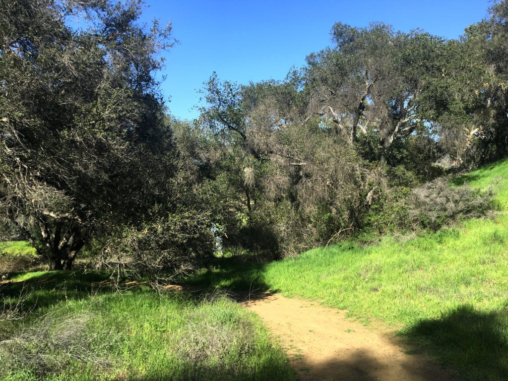 hiking king gillette ranch inspiration point trail