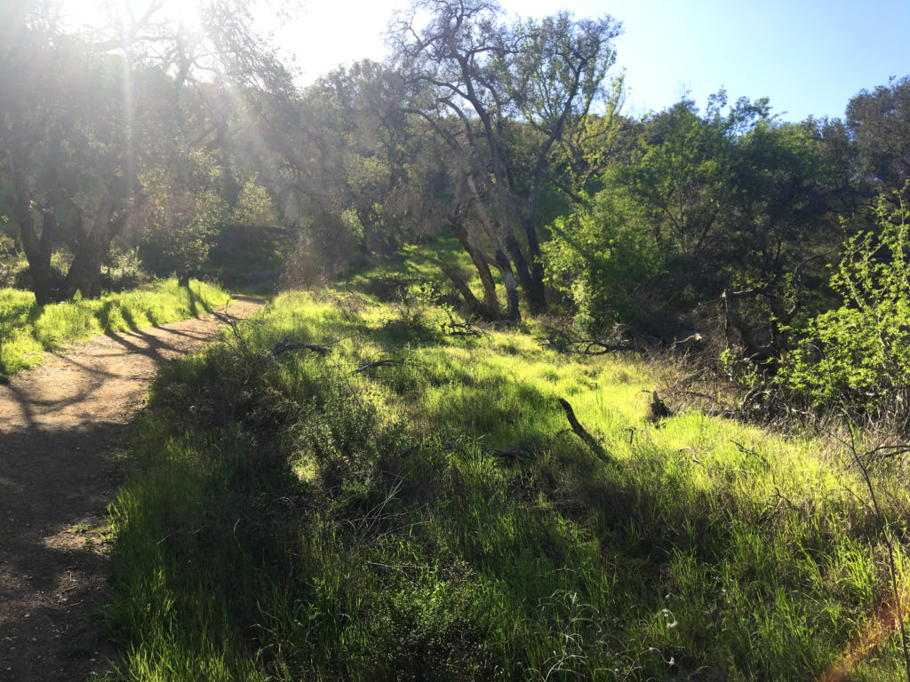 sun shines on king gillette ranch