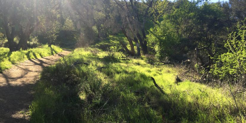 sun shines on king gillette ranch