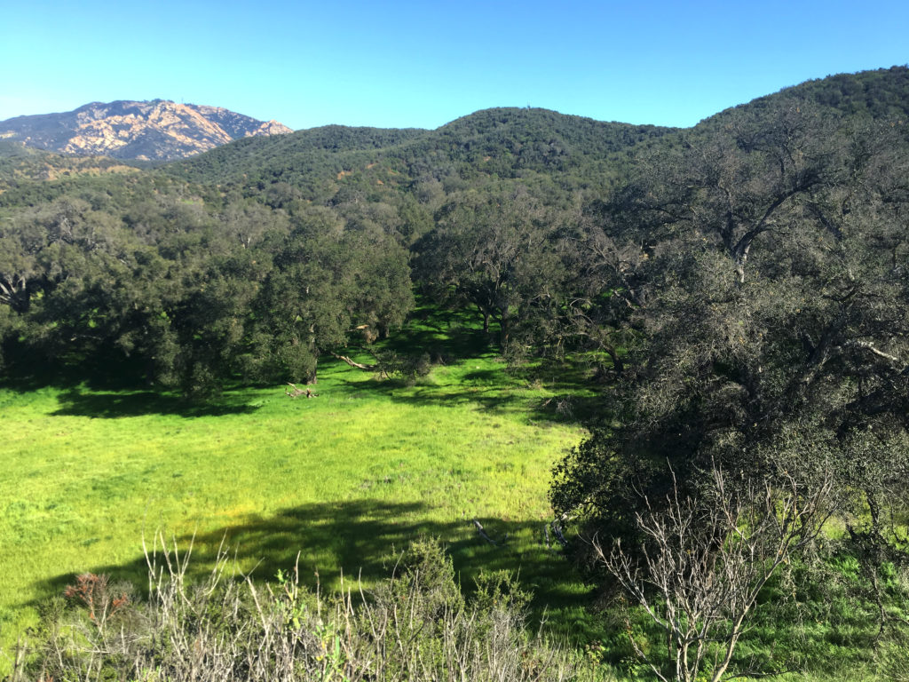 valley with mountain in background