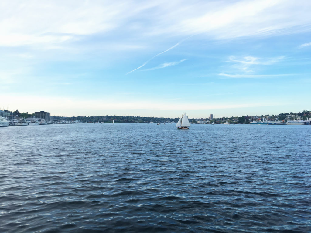 seattle lake union