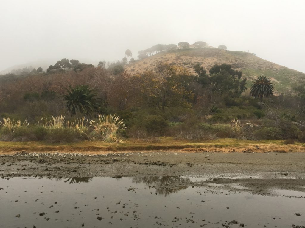 venutian landscape