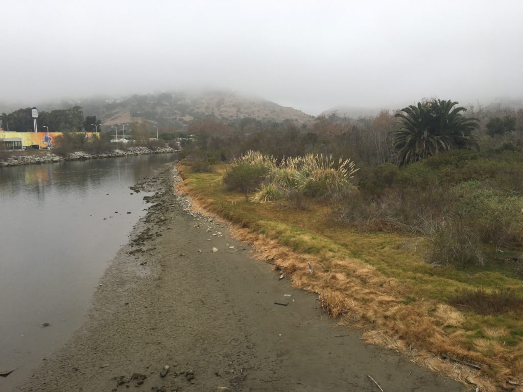 what a great view of the fog