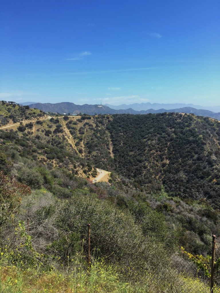 runyon views