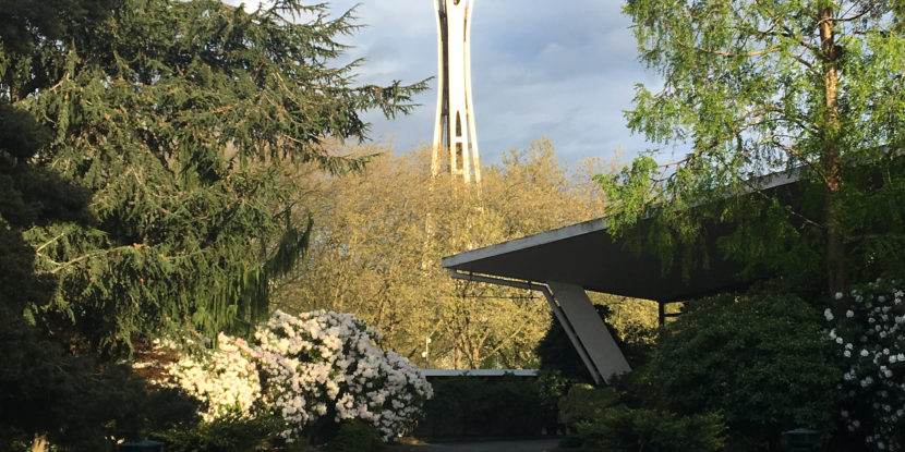 seattle space needle from park pond