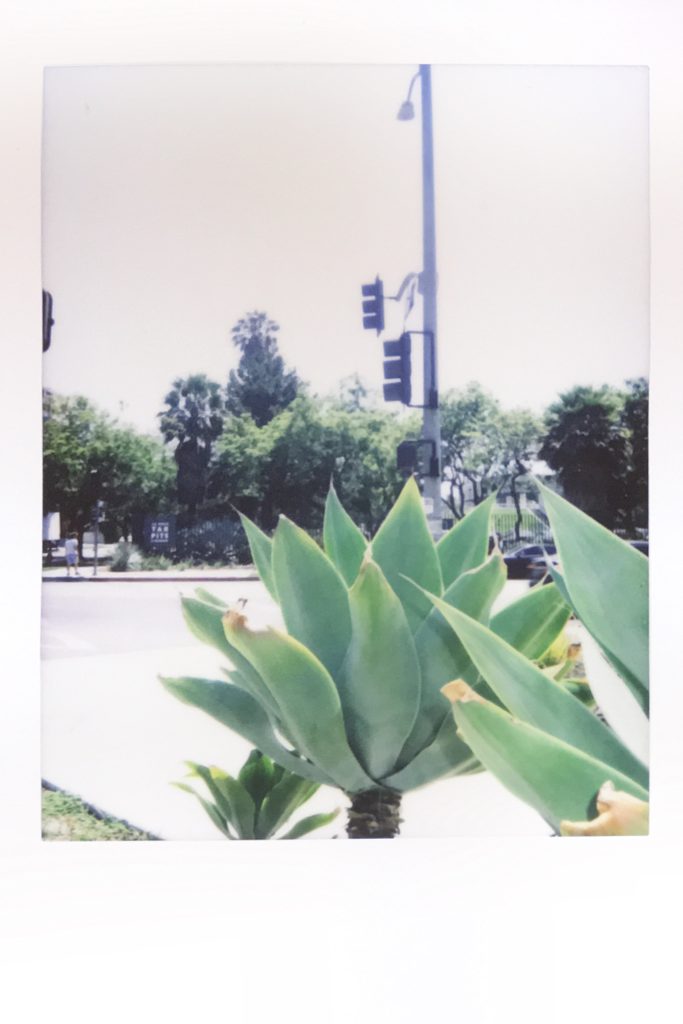 la brea tar pits across the street