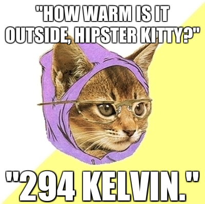 it's 294 kelvin outside hipster kitty meme