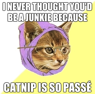 i never thought you'd be a junkie because catnip is so passe dandy warhols hipster kitty meme heroin