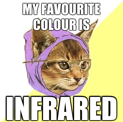 favorite color is infrared hipster kitty meme