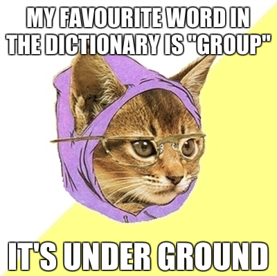 favorite word in the dictionary is group, it's under ground hipster kitty meme