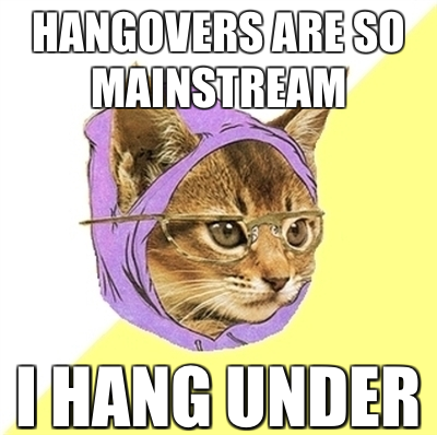 hangovers are so mainstream i hang under hipster kitty meme