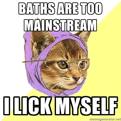 baths are too mainstream i lick myself hipster kitty meme