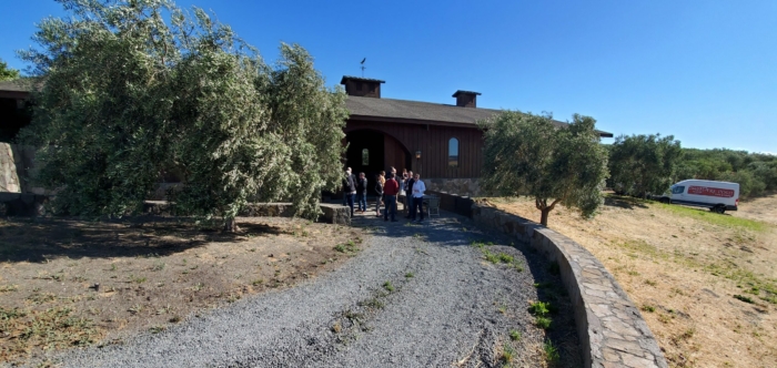 Search marketers wandering down to one of the Bouchaine vineyard buildings to party and network.