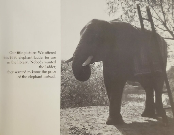 a ladder, leaning against the book's titular elephant