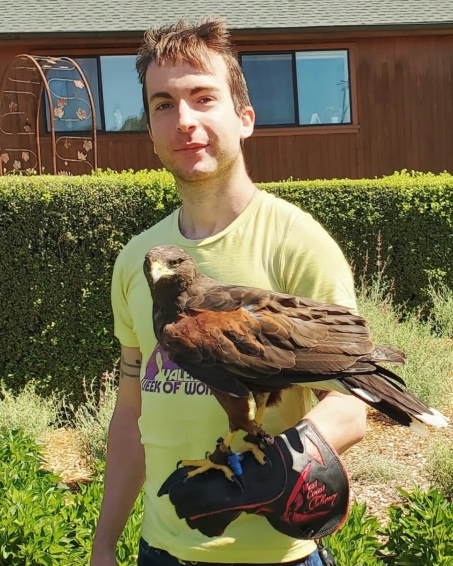 Me, Ethan, holding a falcon with a bird glove on.