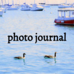 Ethan's Photo Journal: Film Diary