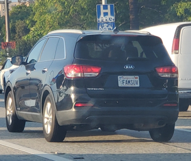 famsuv license plate on a kia sorento