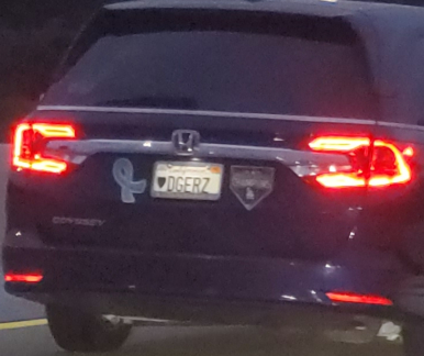 ♥dgerz license plate